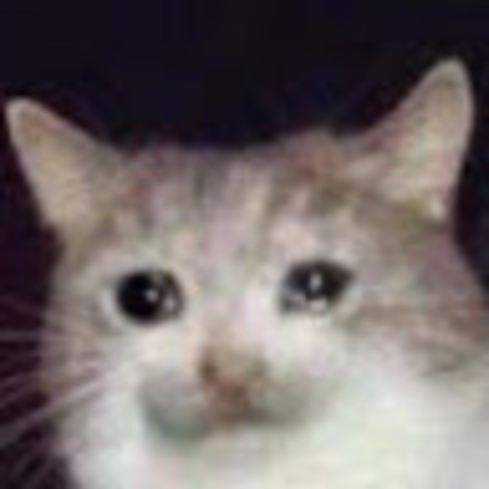 Meet your Posher, Lynn